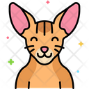 پیش‌نمایش فایل abyssinian-cat-8101441 از پک حیوان خانگی