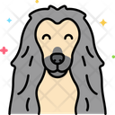 پیش‌نمایش فایل afghan-hound-dog-8101442 از پک حیوان خانگی