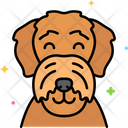 پیش‌نمایش فایل airedale-terrier-dog-8101443 از پک حیوان خانگی