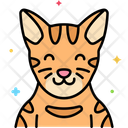 پیش‌نمایش فایل bengal-cat-8101449 از پک حیوان خانگی
