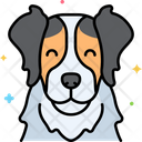 پیش‌نمایش فایل border-collie-dog-8101450 از پک حیوان خانگی
