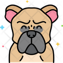 پیش‌نمایش فایل bulldog-dog-8101454 از پک حیوان خانگی