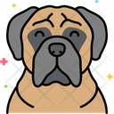 پیش‌نمایش فایل bullmastiff-dog-8101455 از پک حیوان خانگی