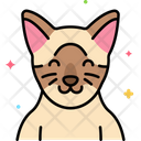 پیش‌نمایش فایل burmese-cat-8101456 از پک حیوان خانگی