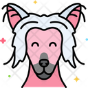 پیش‌نمایش فایل chinese-crested-dog-8101459 از پک حیوان خانگی