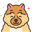 پیش‌نمایش فایل chow-chow-dog-8101460 از پک حیوان خانگی