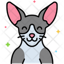 پیش‌نمایش فایل cornish-rex-cat-8101464 از پک حیوان خانگی
