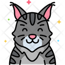 پیش‌نمایش فایل domestic-longhair-cat-8101469 از پک حیوان خانگی