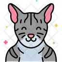 پیش‌نمایش فایل egyptian-mau-cat-8101471 از پک حیوان خانگی