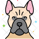 پیش‌نمایش فایل french-bulldog-dog-8101474 از پک حیوان خانگی