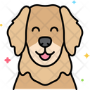 پیش‌نمایش فایل golden-retriever-dog-8101478 از پک حیوان خانگی