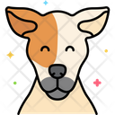پیش‌نمایش فایل jack-russell-terrier-dog-8101485 از پک حیوان خانگی
