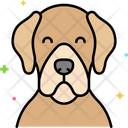 پیش‌نمایش فایل labrador-retriever-dog-8101487 از پک حیوان خانگی