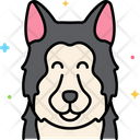 پیش‌نمایش فایل malamute-dog-8101489 از پک حیوان خانگی