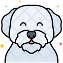 پیش‌نمایش فایل maltese-dog-8101490 از پک حیوان خانگی