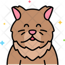 پیش‌نمایش فایل persian-cat-8101499 از پک حیوان خانگی