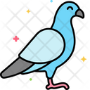 پیش‌نمایش فایل pigeon-8101501 از پک حیوان خانگی