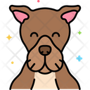 پیش‌نمایش فایل pitbull-dog-8101502 از پک حیوان خانگی