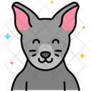 پیش‌نمایش فایل russian-blue-cat-8101511 از پک حیوان خانگی