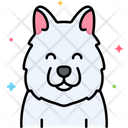 پیش‌نمایش فایل samoyed-dog-8101514 از پک حیوان خانگی