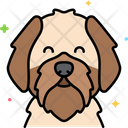 پیش‌نمایش فایل shih-tzu-dog-8101519 از پک حیوان خانگی