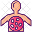 پیش‌نمایش فایل multicellular-cell-colony-8101287 از پک میکروب‌شناسی