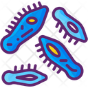پیش‌نمایش فایل protozoa-8101301 از پک میکروب‌شناسی