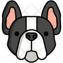 پیش‌نمایش فایل french-bulldog-8100858 از پک فرانسه
