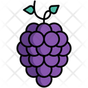 پیش‌نمایش فایل grapes-8100870 از پک فرانسه