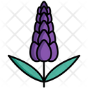 پیش‌نمایش فایل lavender-8100876 از پک فرانسه