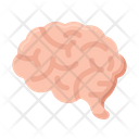 پیش‌نمایش فایل brain-8098669 از پک انگیزه