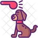 پیش‌نمایش فایل dog-training-8997165 از پک آراستگی حیوان خانگی