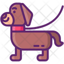 پیش‌نمایش فایل dog-walking-8997166 از پک آراستگی حیوان خانگی