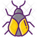 پیش‌نمایش فایل beetle-11020840 از پک جنگل