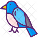 پیش‌نمایش فایل bluebird-11020843 از پک جنگل