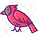 پیش‌نمایش فایل cardinal-11020848 از پک جنگل