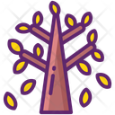 پیش‌نمایش فایل deciduous-tree-11020855 از پک جنگل