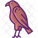پیش‌نمایش فایل hawk-11020871 از پک جنگل