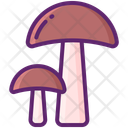 پیش‌نمایش فایل mushroom-11020885 از پک جنگل