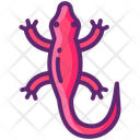 پیش‌نمایش فایل salamander-11020896 از پک جنگل