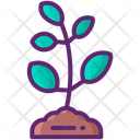 پیش‌نمایش فایل sapling-11020897 از پک جنگل