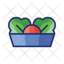 پیش‌نمایش فایل salad-11077936 از پک غذا و نوشیدنی