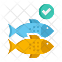 پیش‌نمایش فایل fish-11206686 از پک آشپزخانه