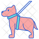 پیش‌نمایش فایل service-dog-2157350 از پک معلولیت و توان‌یابی