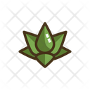 پیش‌نمایش فایل lotus-2179361 از پک یوگا