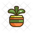 پیش‌نمایش فایل succulent-plant-2179346 از پک یوگا
