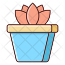 پیش‌نمایش فایل succulent-plant-2179409 از پک یوگا