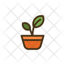 پیش‌نمایش فایل hydroponic-gardening-2307477 از پک سرگرمی و علاقه‌مندی