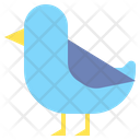 پیش‌نمایش فایل bird-2533918 از پک دامپزشکی