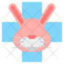 پیش‌نمایش فایل rabbit-vet-2533875 از پک دامپزشکی